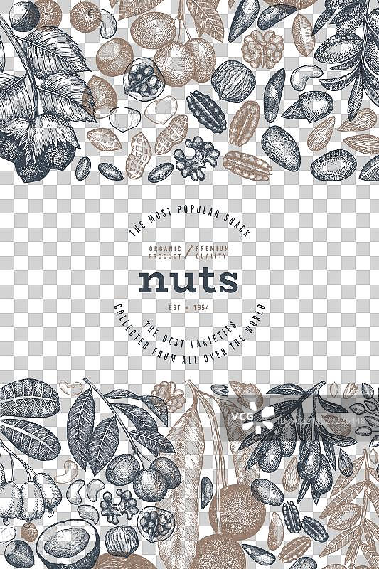 手绘坚果树枝和果仁模板图片素材