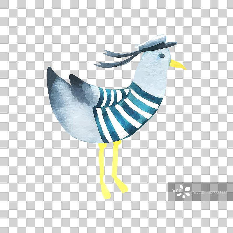 穿着背心和水手帽的海鸥图片素材