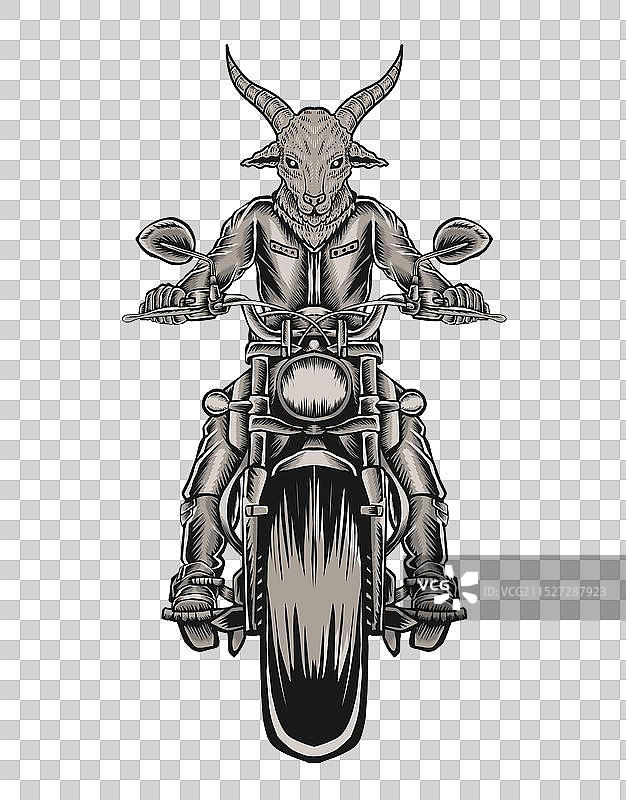 骑摩托车的山羊骑手图片素材