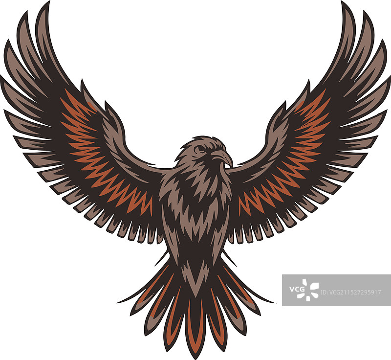 展开翅膀的动态鸟类图片素材