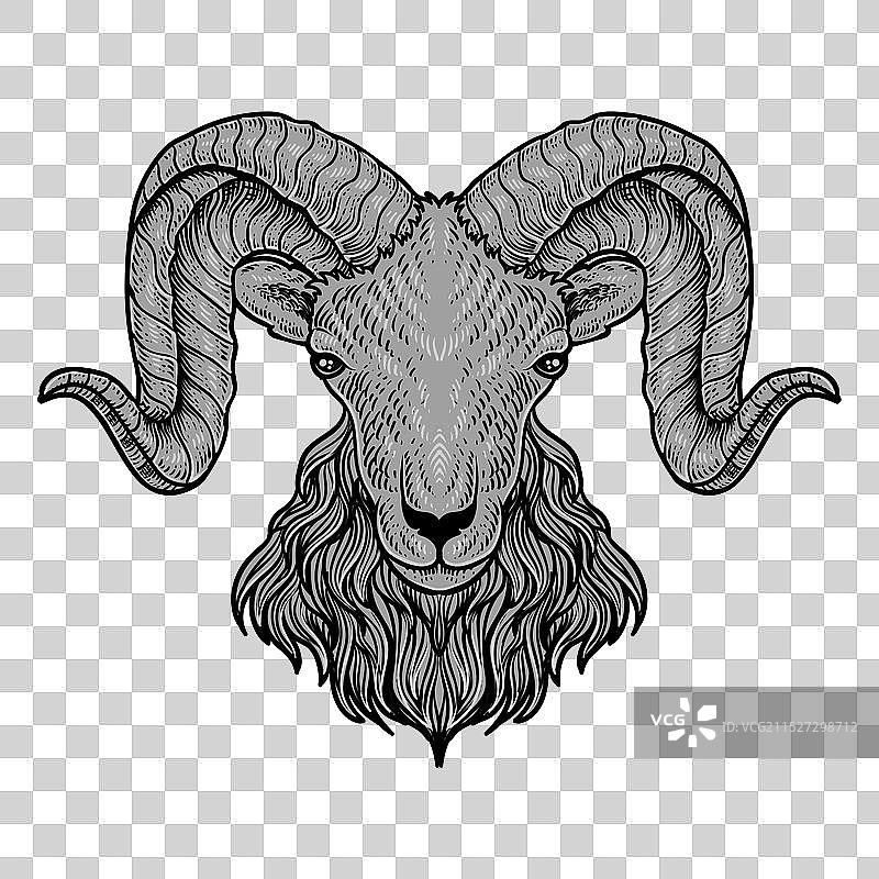 黑色背景上的山羊头图片素材