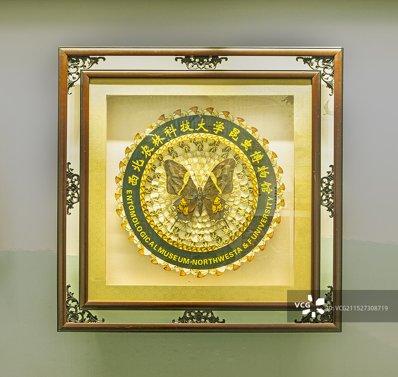 西北农林科技大学博览园图片素材