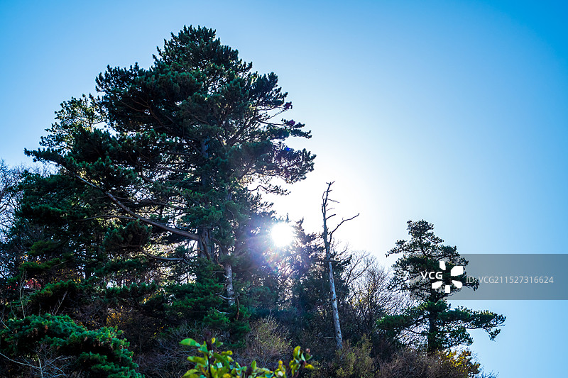 华山，奇险天下第一山图片素材