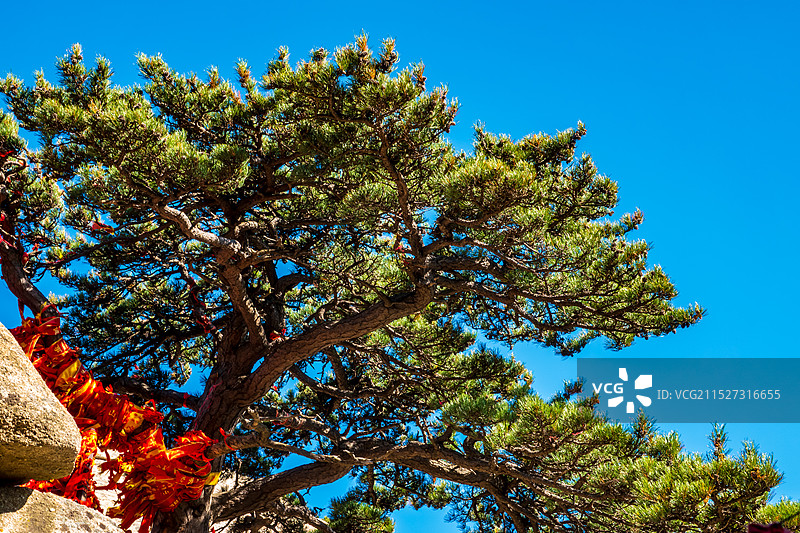 华山，奇险天下第一山图片素材