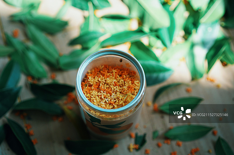 阳光下的桂花像星星一样在闪闪发光呢图片素材