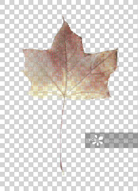 潮流Y2K复古风半色调点状枫叶图片素材