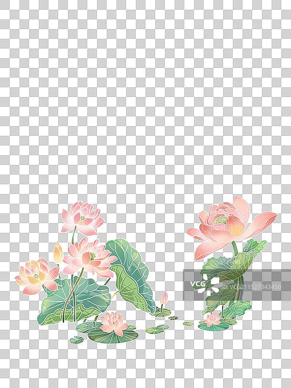 国风荷花盛开手绘插画背景图片素材