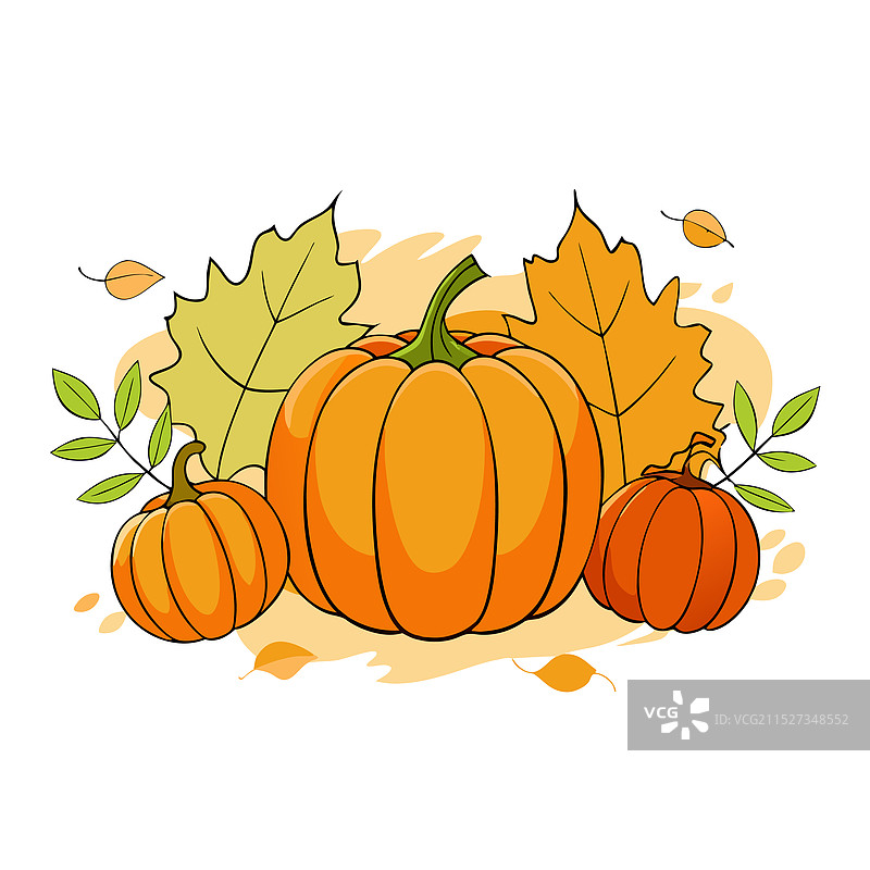 秋季南瓜树叶美景图片素材