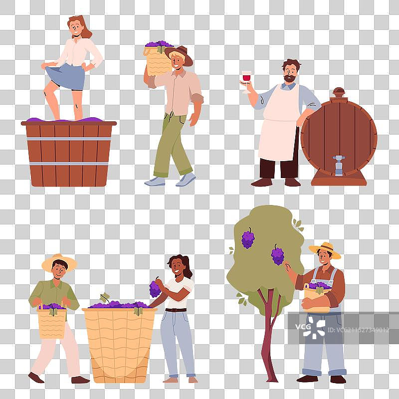 人物采摘葡萄图片素材