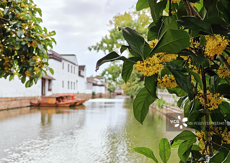 IMG_20241013_190333图片素材