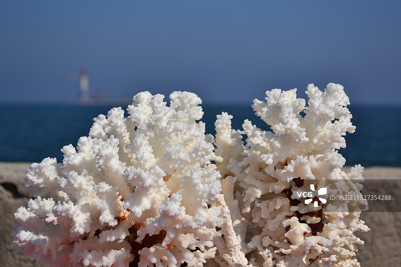 营口辽河老街，辽河渡口，西大庙图片素材