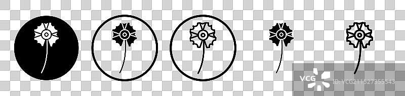 白色背景上的康乃馨图标集图片素材