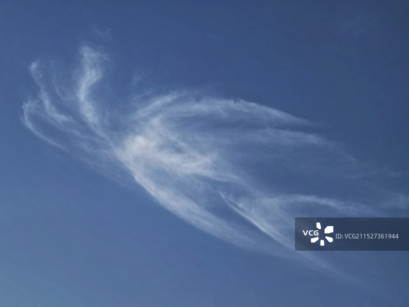 空中八爪鱼图片素材