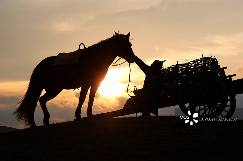 乌兰布统草原鹿苑立马表演图片素材