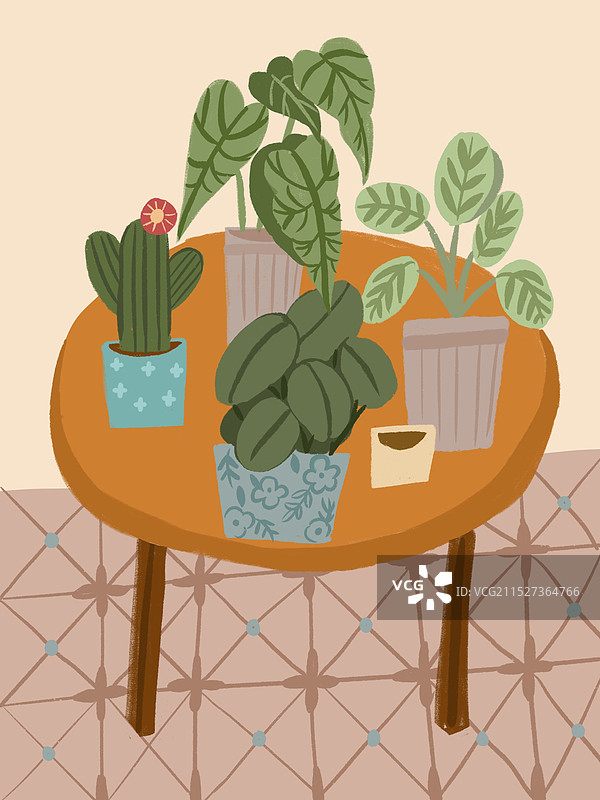 桌上摆放的植物图片素材