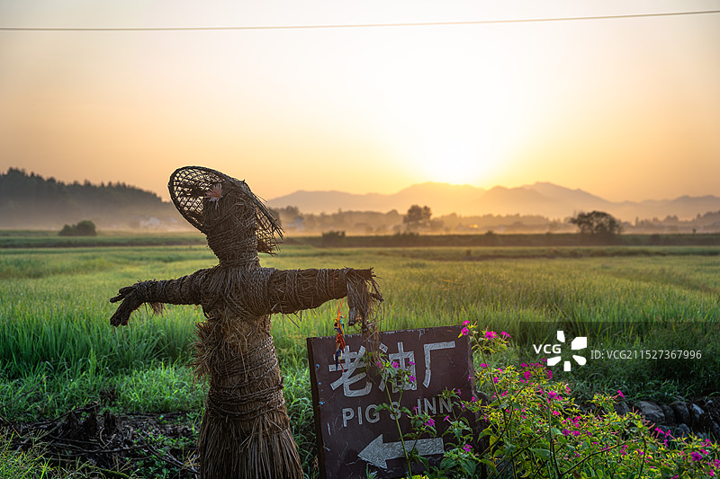 清晨的稻草人图片素材