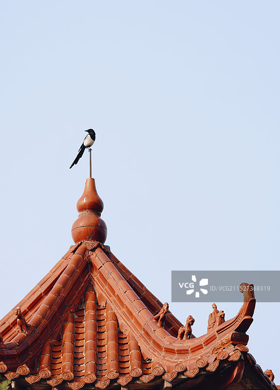 福禄寿喜图片素材