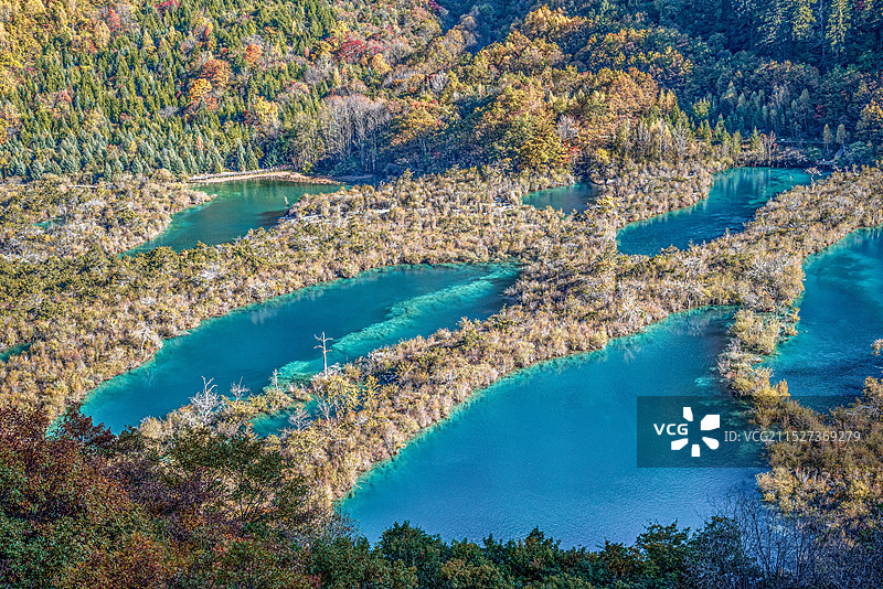 九寨沟树正群海图片素材