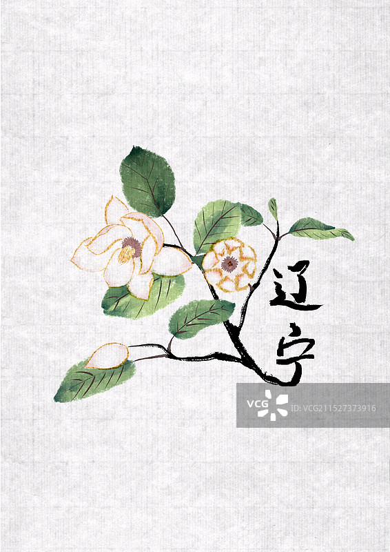 省花插画 辽宁省花插画 天女花插画 水墨风插画 国风插画图片素材