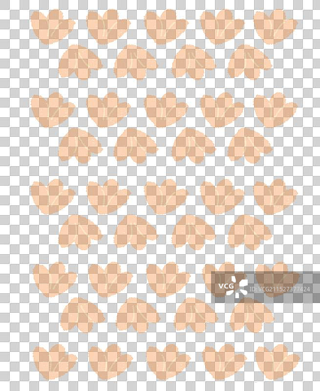 郁金香图片素材