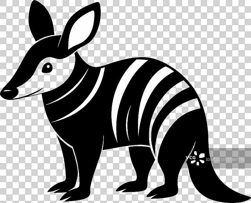 黑白配色非洲食蚁兽图片素材