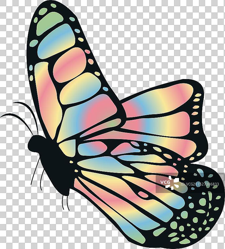 异想天开的彩色彩虹蝴蝶图片素材