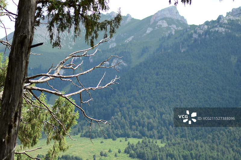 甘南郎木寺，藏传佛教图片素材