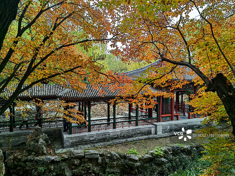 俯拍谐趣园亭子图片素材