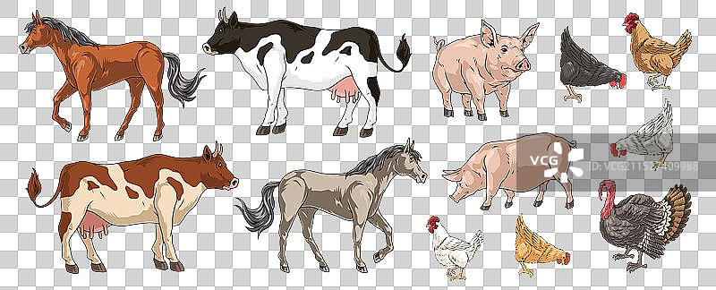 家畜家禽贴纸套装图片素材