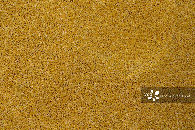 小米特写图片素材