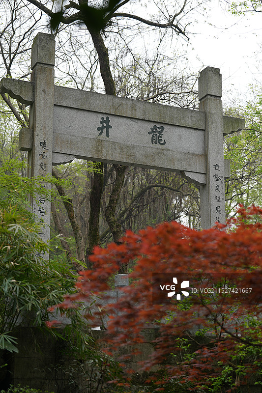 龙井问茶图片素材
