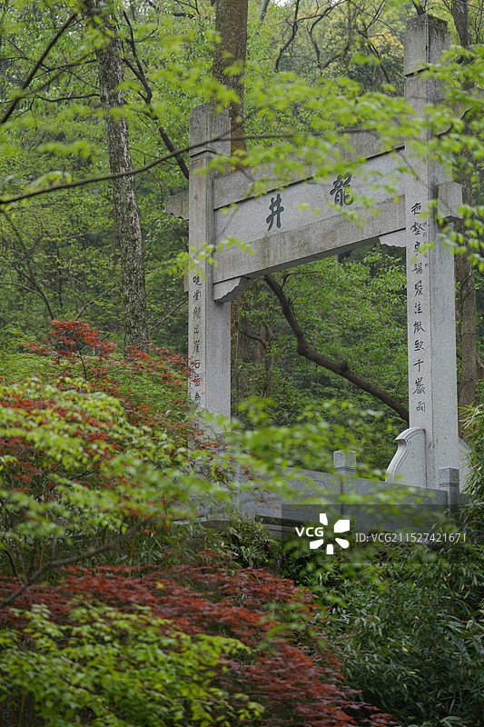 龙井问茶图片素材