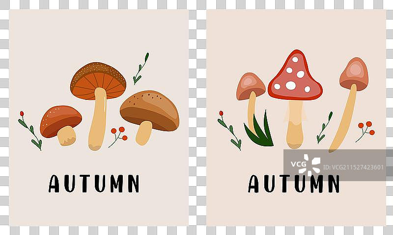 秋季蘑菇与森林氛围图片素材