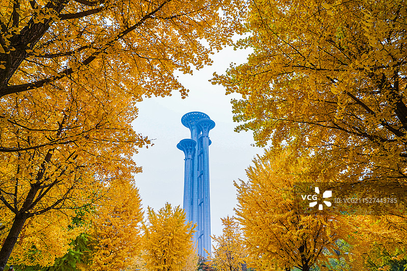 金秋十月图片素材