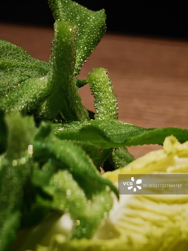 打卡北京温野菜寿喜锅之冰草+娃娃菜图片素材