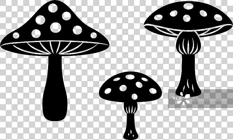 白色背景顶部的蘑菇2图片素材