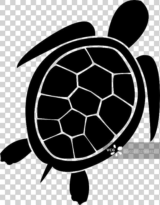 海龟优雅轮廓图片素材