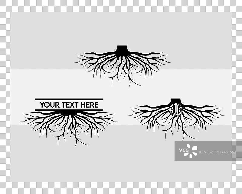 树根剪贴画图片素材