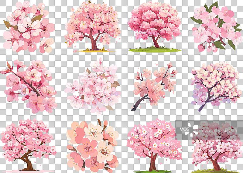 日本樱花树粉色花朵图片素材