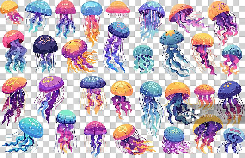 海洋动物水母卡通图片素材