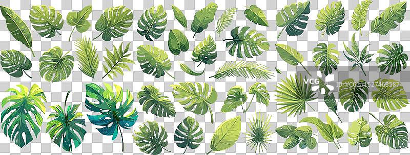 卡通热带绿色树叶图片素材