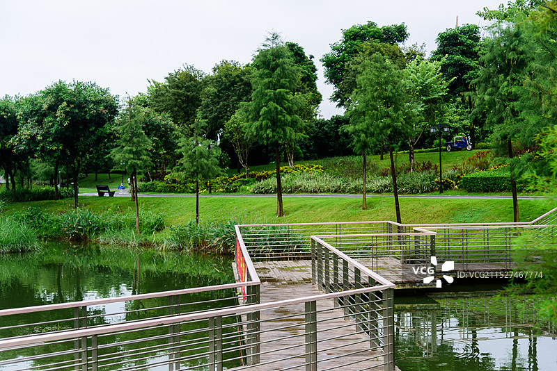 东莞东城桑园龙湖公园风景观光栈道图片素材