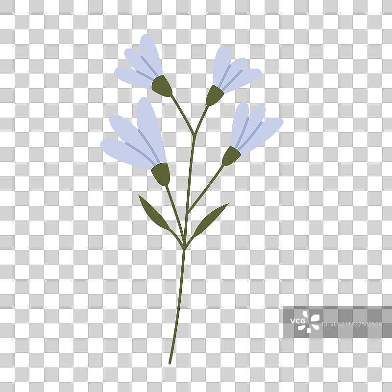 蓝色野花图片素材