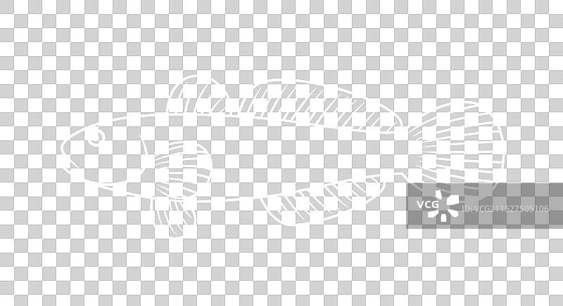 虾虎鱼图片素材