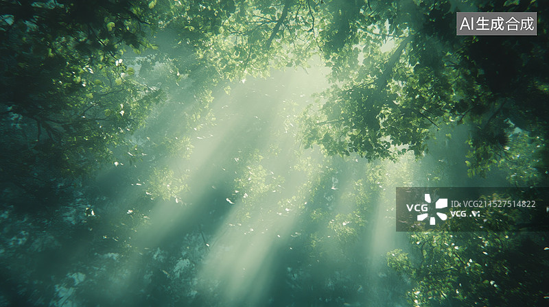 【AI数字艺术】清早的竹林图片素材