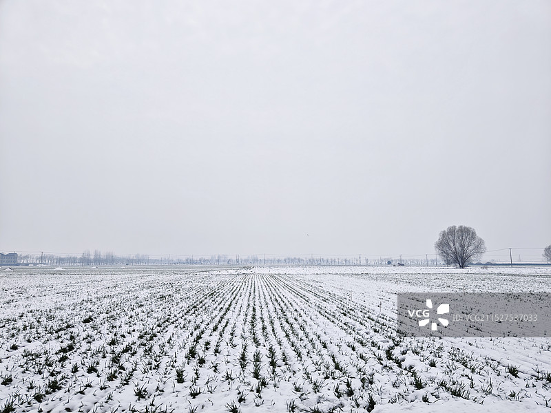 皖北的冬日乡村图片素材