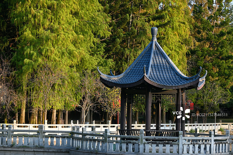 福州国家森林公园景区（福州植物园）图片素材