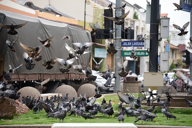 马来西亚马六甲，马六甲市正式被联合国教科文组织列入世界遗产名录图片素材