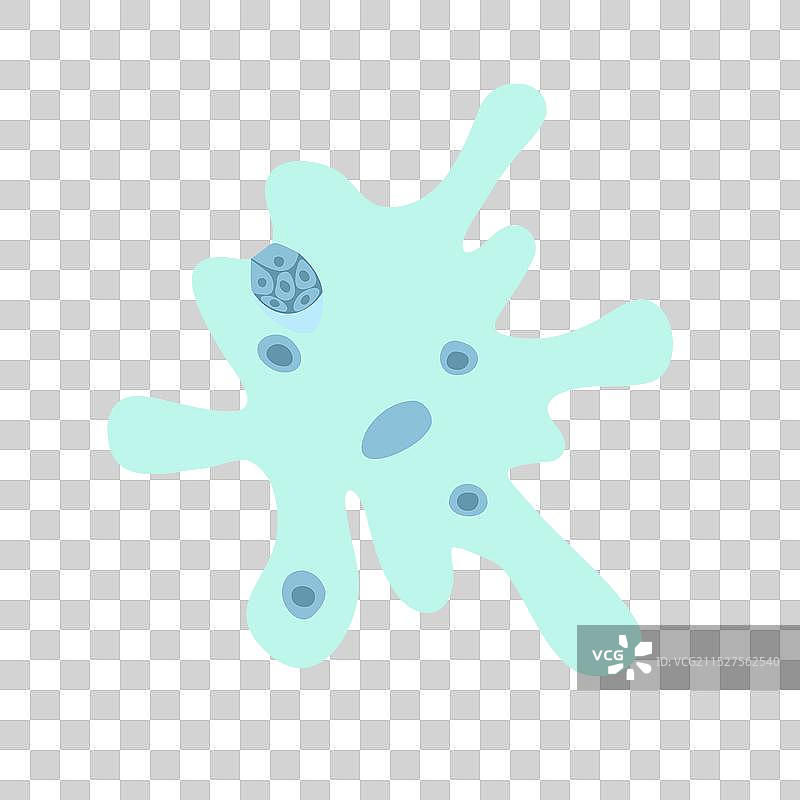 白色背景下的变形虫图片素材