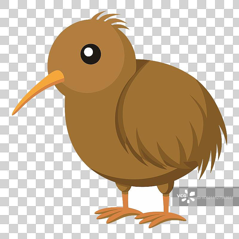 可爱的奇异鸟动物，白色背景图片素材